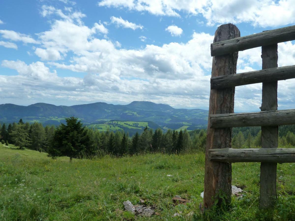 Sommeralmhuette Sankt Kathrein am Offenegg Exterior photo